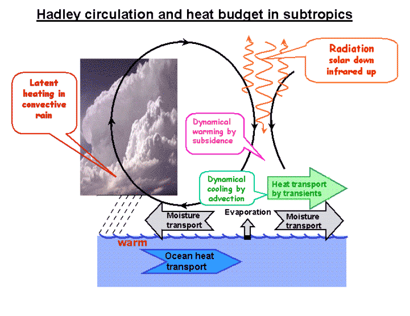 Schematic of the Hadley Cell circulation in the Subtropics, and the total heat budget associated with it.